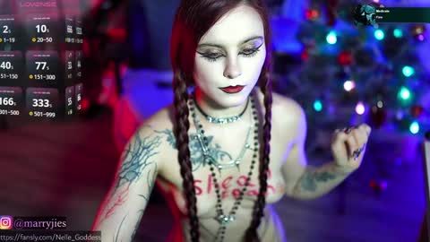 Snapshot of nelle_ chatting on 12-30-24, 04:19    online show from 12-30-24, 04:19