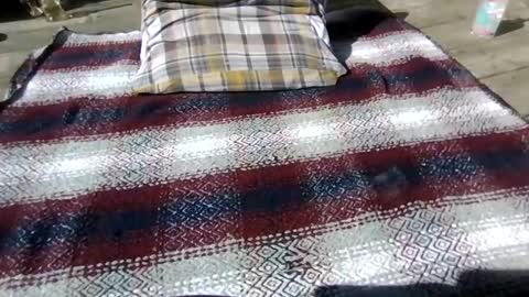 neosohorny online show from 04-26-26, 07:22