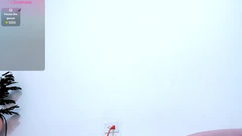 Nery online show from 02-17-25, 06:37