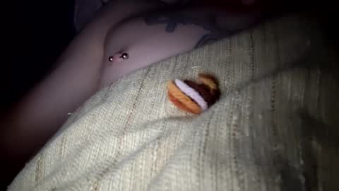 NvrSats911 online show from 12-05-24, 09:39