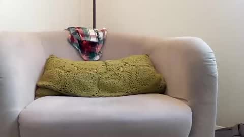 NvrSats911 online show from 12-21-24, 06:34