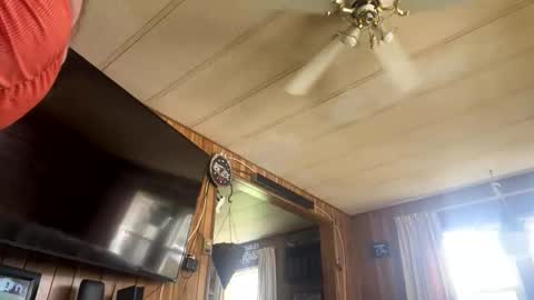 neversaynevrrr online show from 11-01-25, 05:37