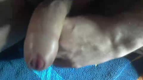 ni983 online show from 12-19-24, 03:08