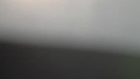 ni983 online show from 02-02-26, 07:56