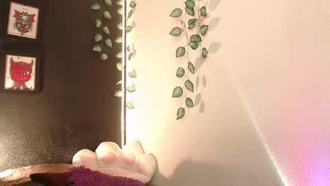  niakat  online show from 01-16-26, 03:10