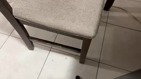 Carlos Nico online show from 03-05-26, 09:38