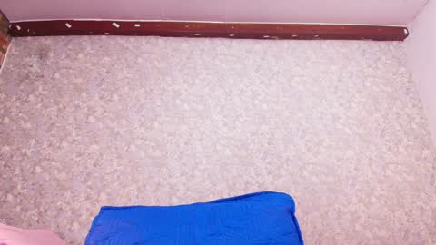 Nicol online show from 01-24-25, 07:39