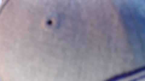 Snapshot of nicolas_torres99 chatting on 12-12-24, 07:19 nicolas online show from 12-12-24, 07:19