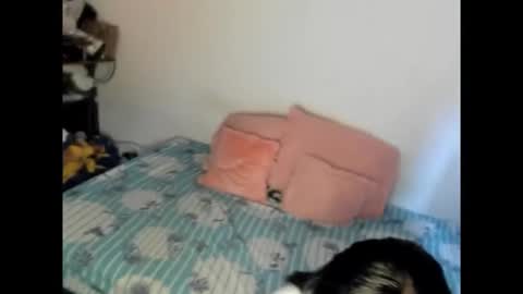 Snapshot of nicolefluffypussy chatting on 02-15-26, 06:15 Nicole jaymes online show from 02-15-26, 06:15