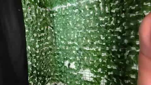nicoleirisxxx online show from 07-01-26, 05:09