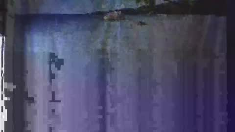 OHB Old Horny Bastard online show from 01-13-25, 05:12