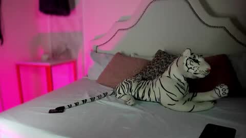 nicole online show from 02-05-26, 03:05