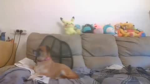 Brian and Logan Brogan online show from 10-16-25, 06:36