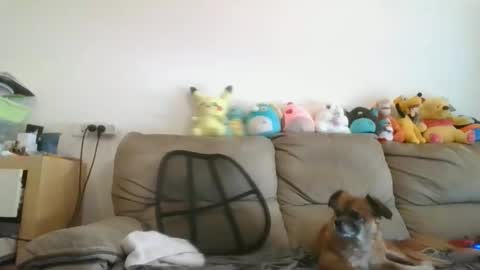 Brian and Logan Brogan online show from 11-19-25, 07:52