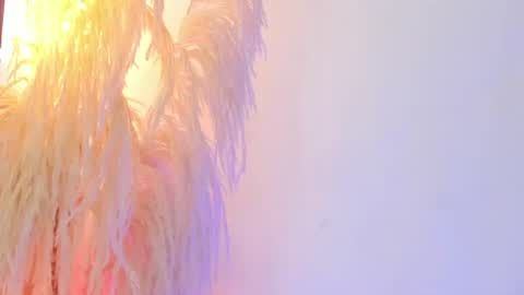    online show from 07-09-26, 11:53