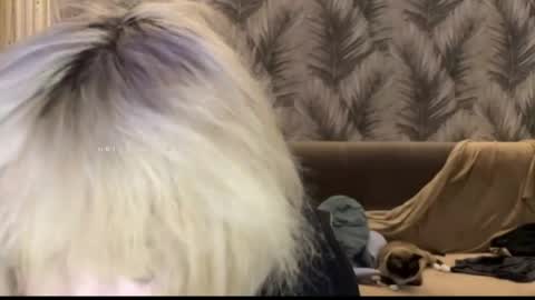 nikoli_naw online show from 06-11-26, 07:45