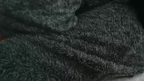 nineinchhard online show from 09-14-25, 08:46