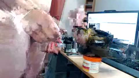 ninetynine_99 online show from 06-17-26, 05:25
