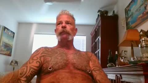 Snapshot of njdbear chatting on 11-01-25, 09:28 Don online show from 11-01-25, 09:28