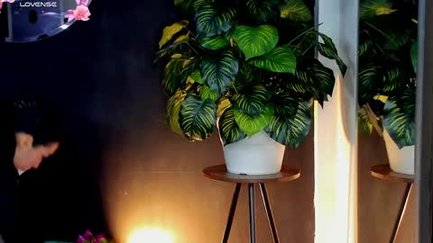 Noah  online show from 04-10-26, 03:23