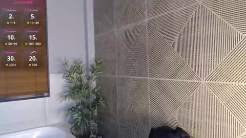 noah_dupont_ online show from 02-22-26, 11:53