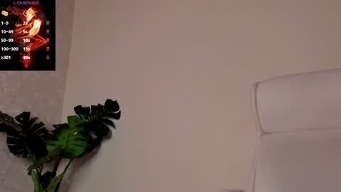 Noah online show from 12-30-24, 06:27