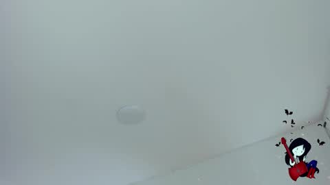 Noah  online show from 10-29-25, 06:48