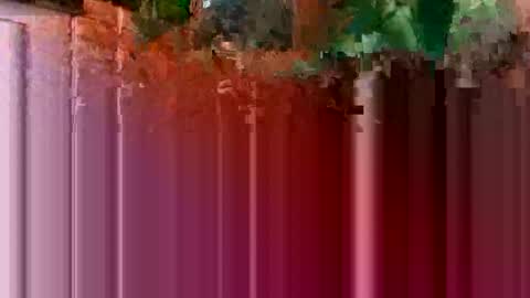 nocturnus1980 online show from 01-16-26, 05:44