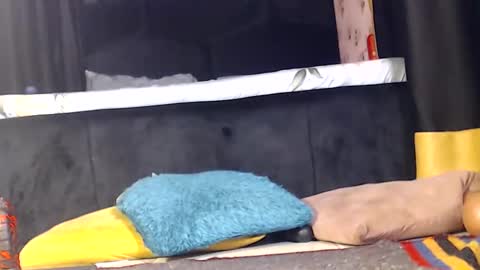 Noir Thats My Name Call Me Bablicious online show from 12-16-24, 10:03