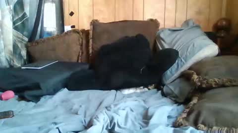 Noliana online show from 11-24-25, 05:12