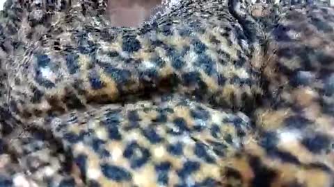 nora_roy246 online show from 01-08-26, 05:54