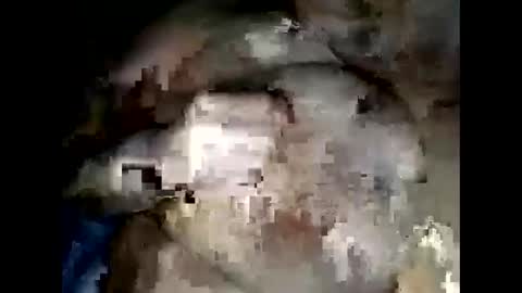 normajeen77777 online show from 04-14-26, 07:47