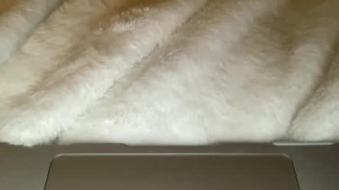 noscandal online show from 12-21-25, 05:03