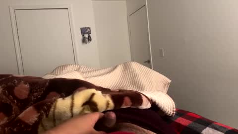 Snapshot of noseassapa chatting on 02-24-25, 08:06 se le perdio algo perra hp online show from 02-24-25, 08:06