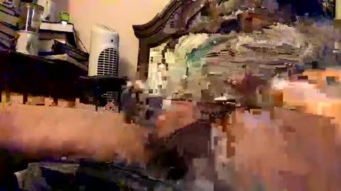 nothingclever1003 online show from 01-16-25, 07:38