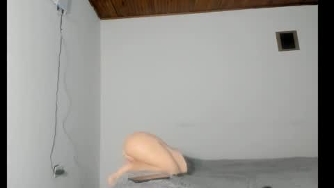 nreus online show from 10-08-25, 10:24