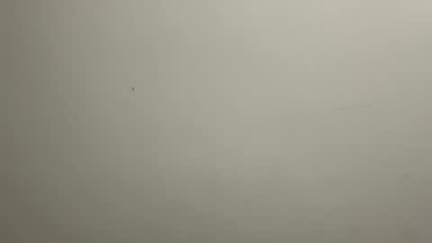 nughtyfemboy online show from 07-30-26, 11:59