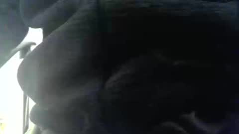 obahiro823844 online show from 12-17-25, 12:55