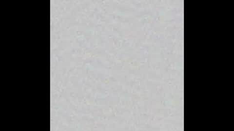 Obsidian stallion online show from 11-17-25, 04:57