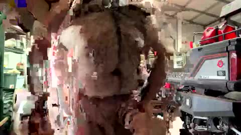 odang_13 online show from 02-21-26, 10:55