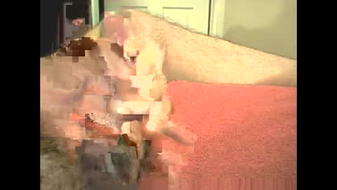 odinswarrior online show from 02-28-26, 03:46