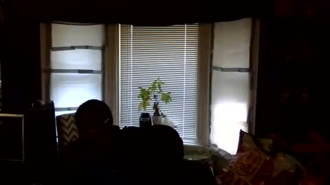 Snapshot of oflores77 chatting on 02-16-26, 03:08 oscar flores online show from 02-16-26, 03:08