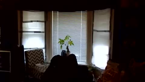 Snapshot of oflores77 chatting on 02-24-26, 01:42 oscar flores online show from 02-24-26, 01:42