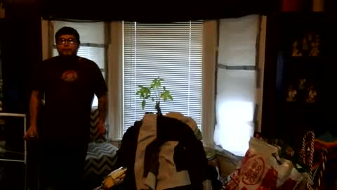 Snapshot of oflores77 chatting on 03-01-26, 01:02 oscar flores online show from 03-01-26, 01:02