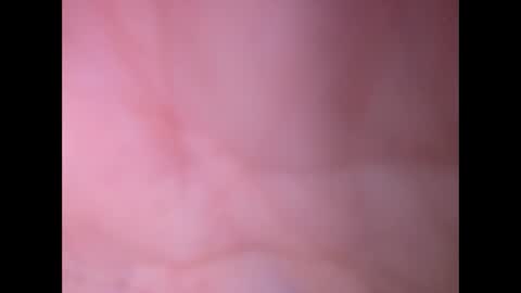 oldaddy2 online show from 02-23-26, 12:46