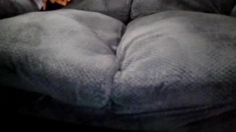 OldMIGUY online show from 04-15-26, 12:12