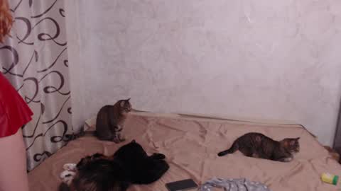 Olivia online show from 06-11-26, 02:53