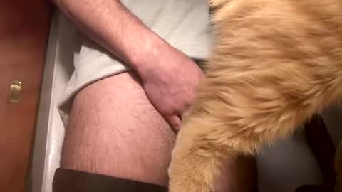 onedayonedollar online show from 02-25-25, 12:34