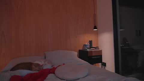 Snapshot of onelittlemermaid chatting on 12-27-24, 06:53 Ariel online show from 12-27-24, 06:53