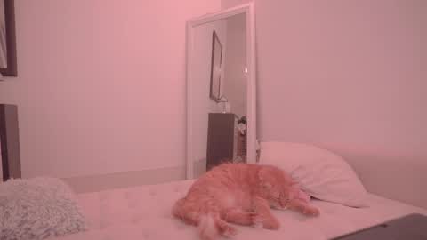 Snapshot of onelittlemermaid chatting on 10-18-25, 09:26 Ariel online show from 10-18-25, 09:26